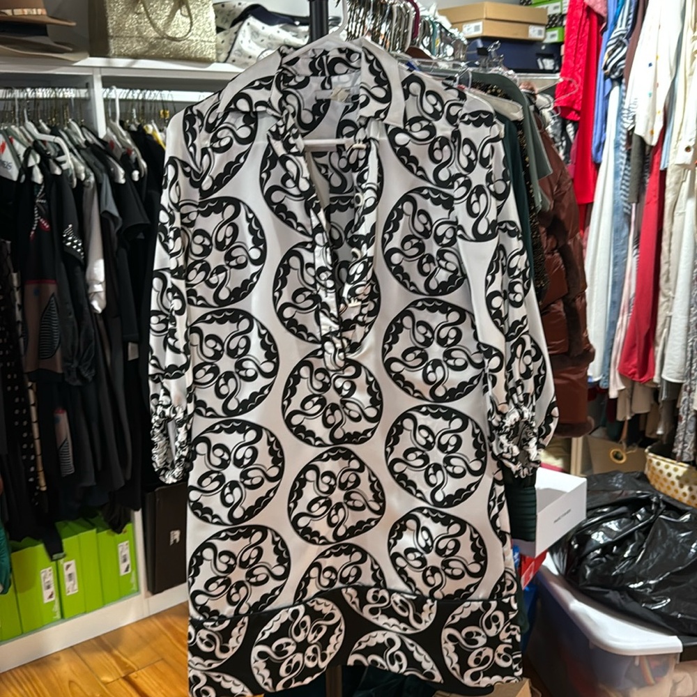 Zara basic button dress